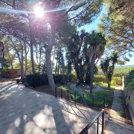 Chalet Rustico Con Piscina Y Barbacoa, Valencia Torrent  Εξωτερικό φωτογραφία