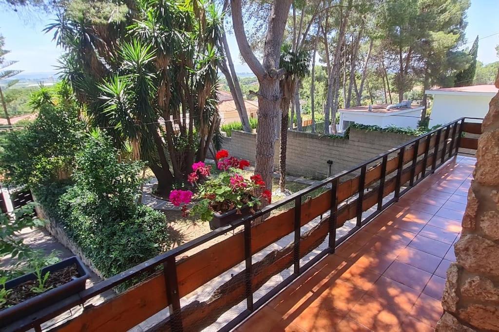 Chalet Rustico Con Piscina Y Barbacoa, Valencia Torrent  Εξωτερικό φωτογραφία